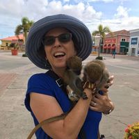 Kathy Hall's profile image