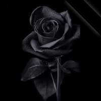 Manilyn Celino's profile image