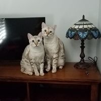 Linda Bettman Duran's profile image