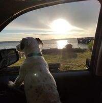 Terri Bayliff's profile image