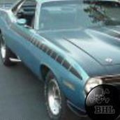 Max Cuda's profile image