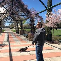 Mike Buziecki's profile image