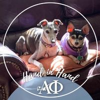 Stephanie Gladney's profile image