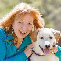 Ann Finley's profile image