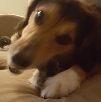 Jim Boyd's profile image