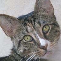 Theresa Yarbrough's profile image