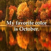 Carol Stuff Stanek's profile image