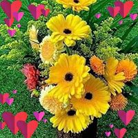 Kike Quique's profile image