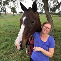 Jill Elbrecht's profile image