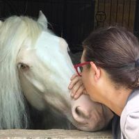Cindy Burtt's profile image