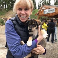 Nancy Gilman's profile image