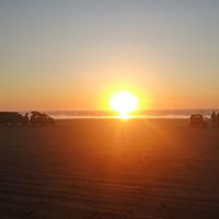 Kylea Whitener's profile image