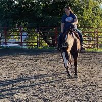 Cheyenne Davis's profile image