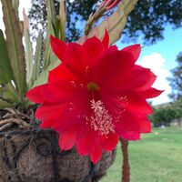 Anita Witt's profile image