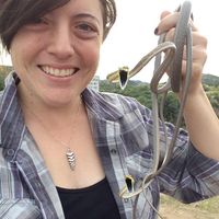 Sarah Ortiz's profile image