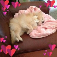 Mindy Andersen-Hayes's profile image
