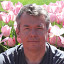 Dimitry's profile image