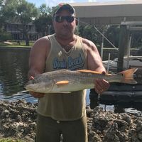 Evan Kleiman's profile image