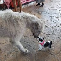 Jennifer Coats's profile image