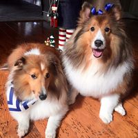 James Hart's profile image