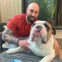 Chris Boldan's profile image