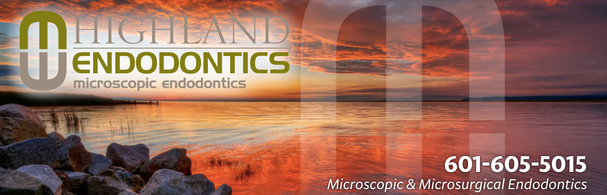 Highland Endodontics's cover image