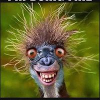 Debra Espinosa's profile image