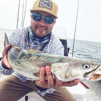 Jose Canales's profile image