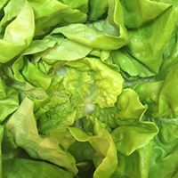 Jillanna Wirht Price's profile image