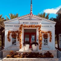 Paul Stein's profile image