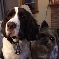 Patricia Staubs's profile image