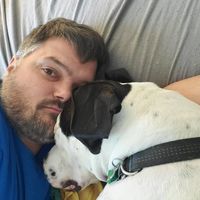 Joseph Collins's profile image