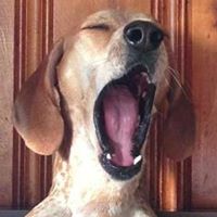 Tony Lawhorne's profile image