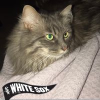 Susan DeLuca's profile image