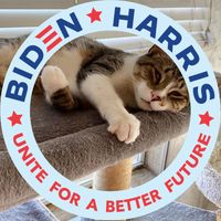 Kris Kucharchuk's profile image