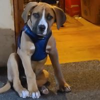 Paula Miller's profile image