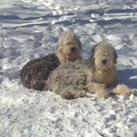 Mary Valentine's profile image