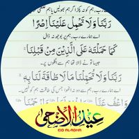 Fareeha Gondal's profile image