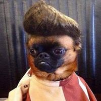 Sean Green's profile image