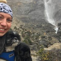 Ashlie Peakman's profile image