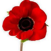 Roseann McMillian's profile image