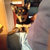 Kathleen Smith's profile image