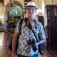 Lou McLove's profile image