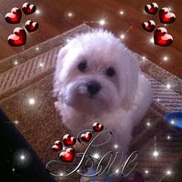 Gayla Charette's profile image