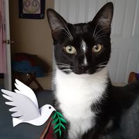Trish Moore's profile image