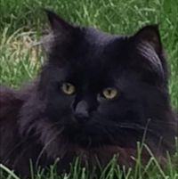 Kim Daldos's profile image
