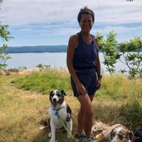 Wendy Friedman Zweig's profile image