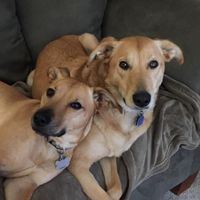 Marsha Stephens's profile image