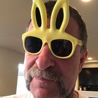 Les Johnston's profile image