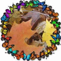 Sheri Lee's profile image